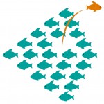 Coaching-Artikel_CM